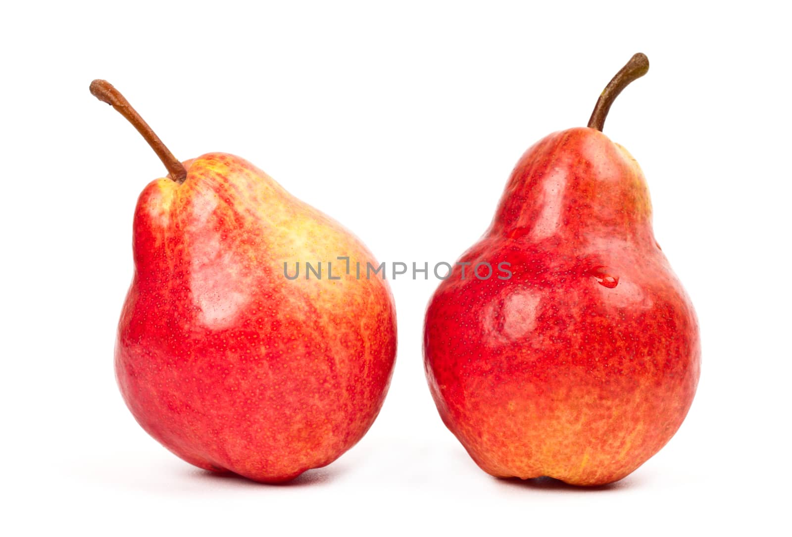 two red pears on white background