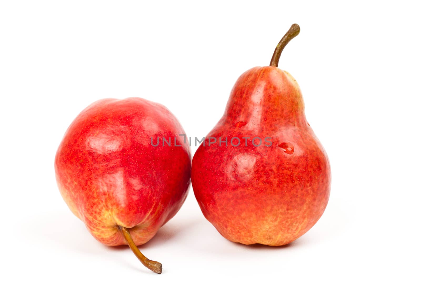 two red pears on white background