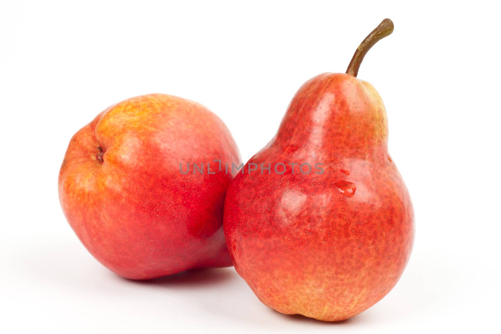 two red pears on white background