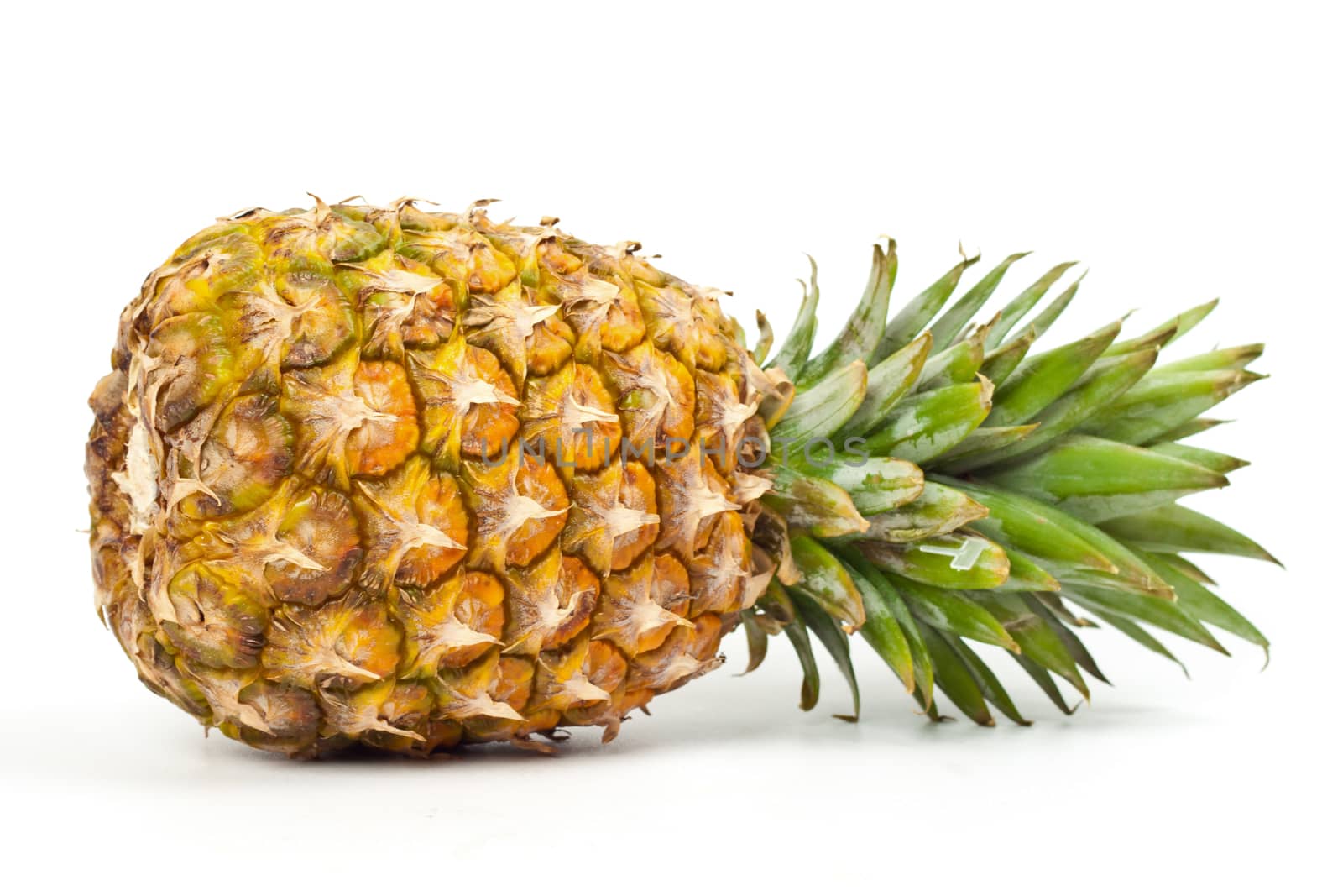 ripe pineapple on a white background