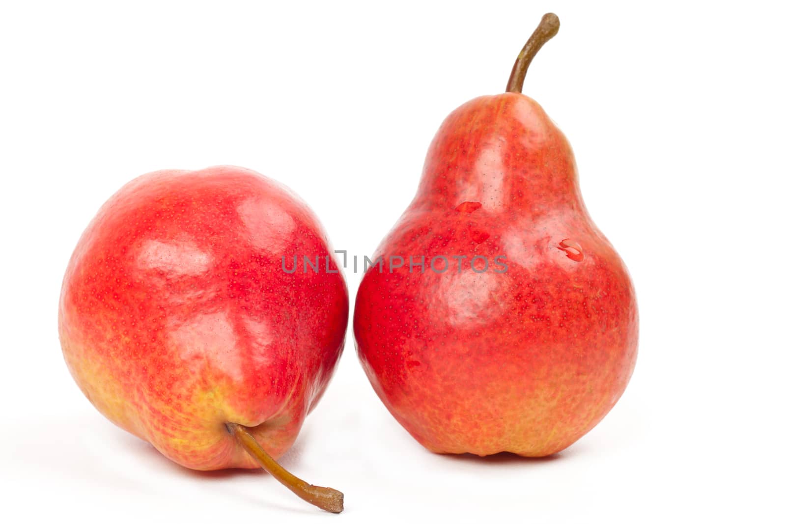 two red pears on white background