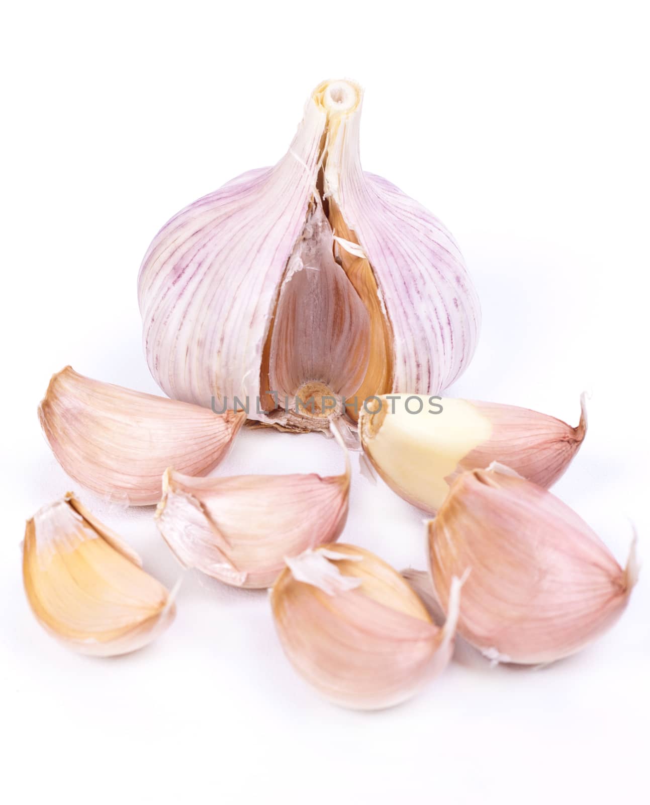 garlic on a white background