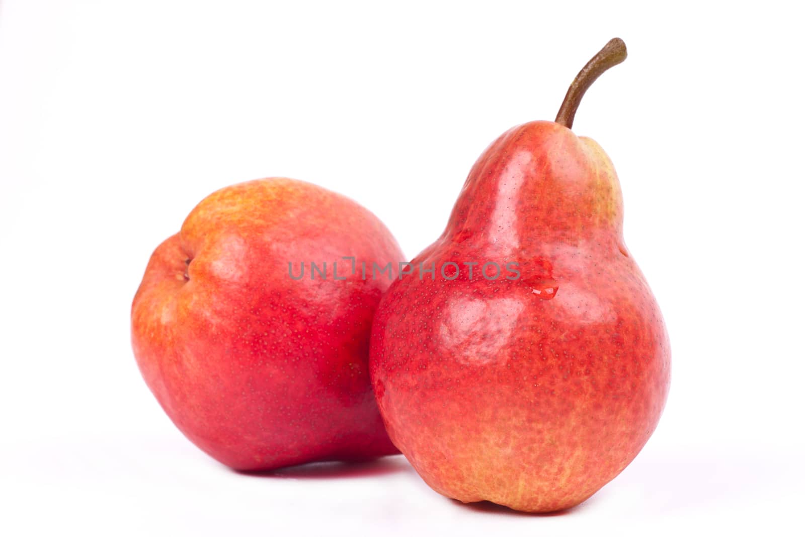 two red pears on white background