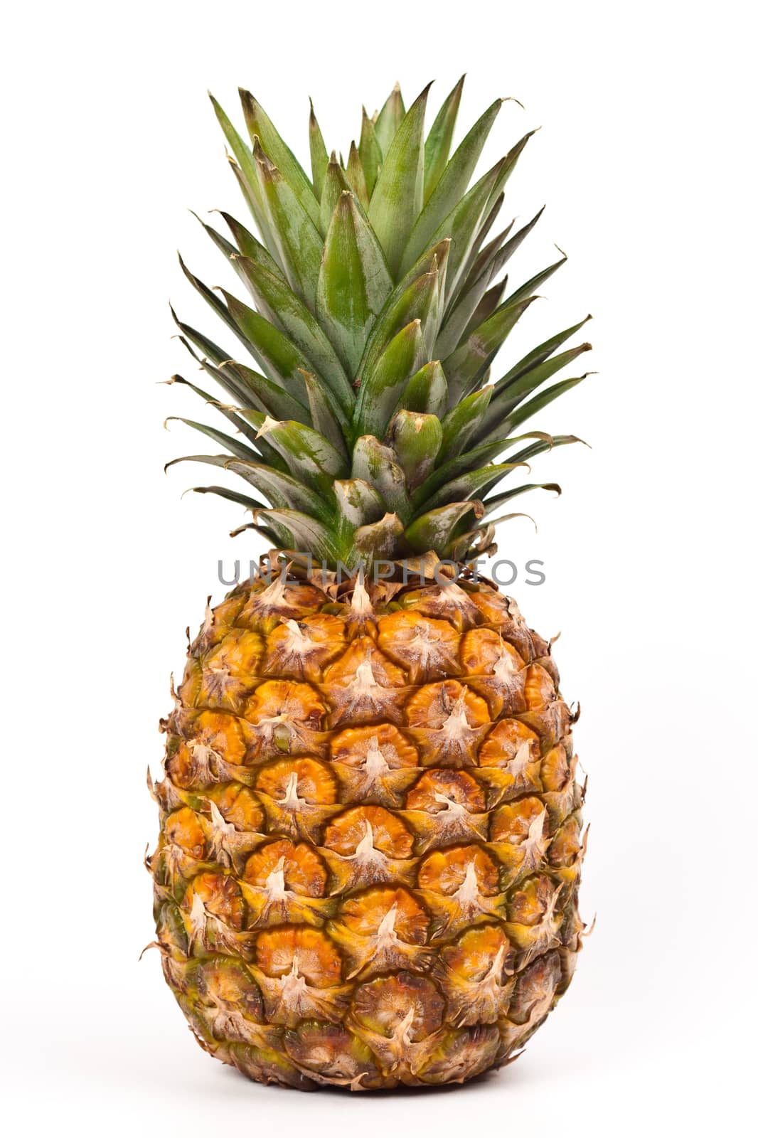 ripe pineapple on a white background