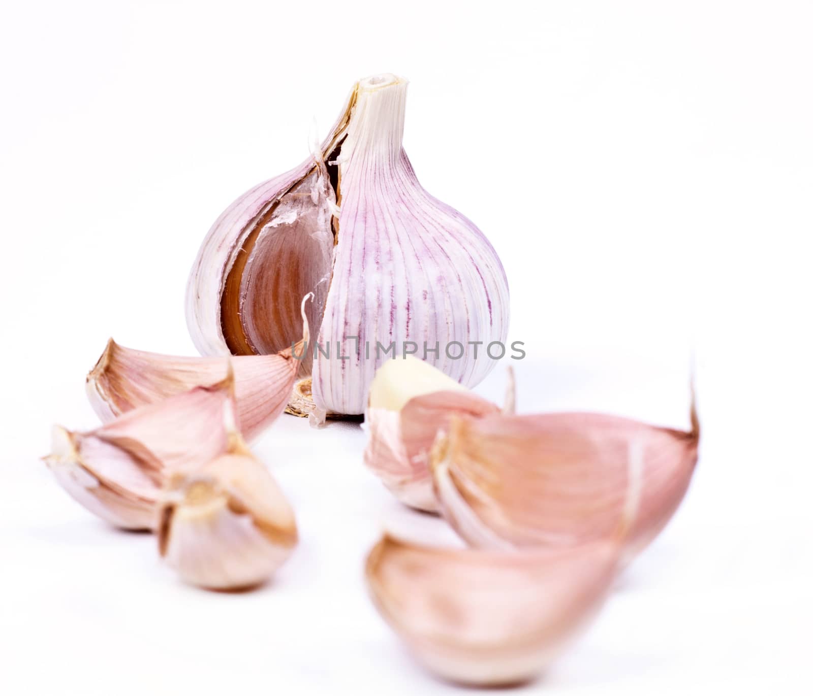 garlic on a white background by aziatik13