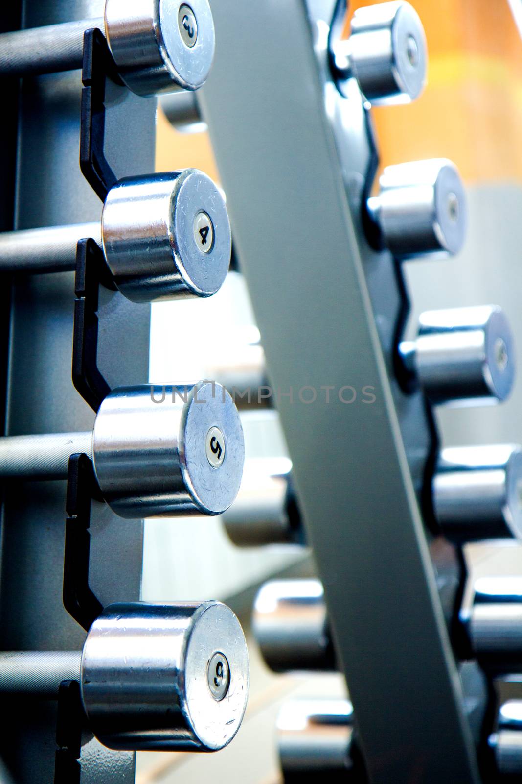dumbbells in the gym by aziatik13