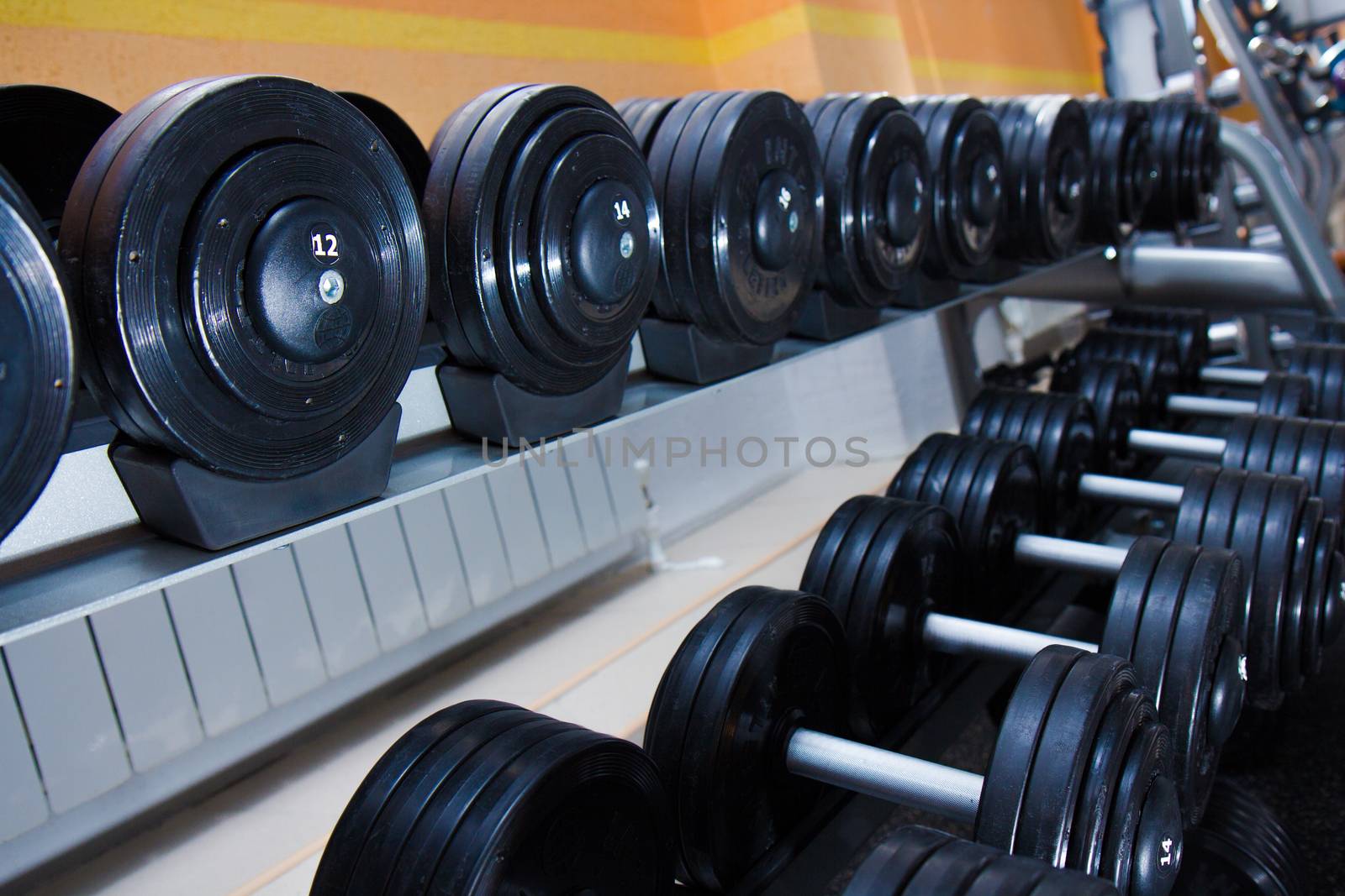 dumbbells in the gym