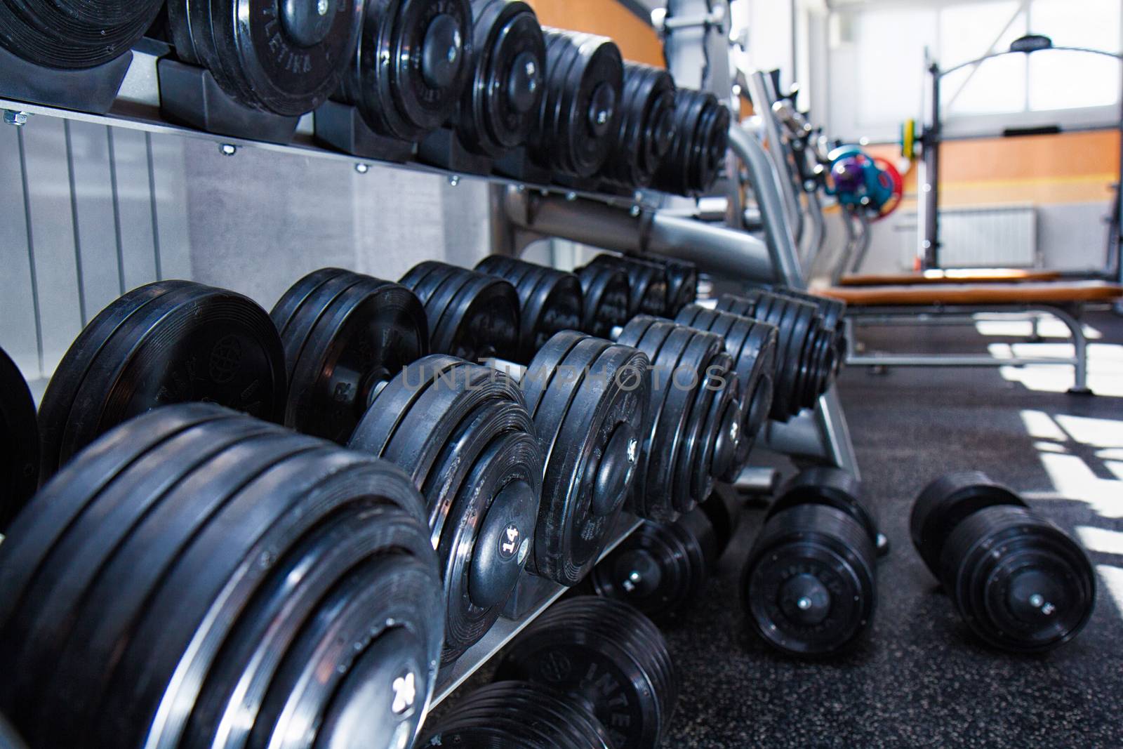 dumbbells in the gym