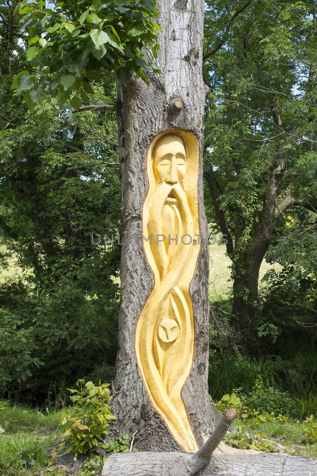 bearded man tree engraving in tarbert park on the wild atlantic way ireland
