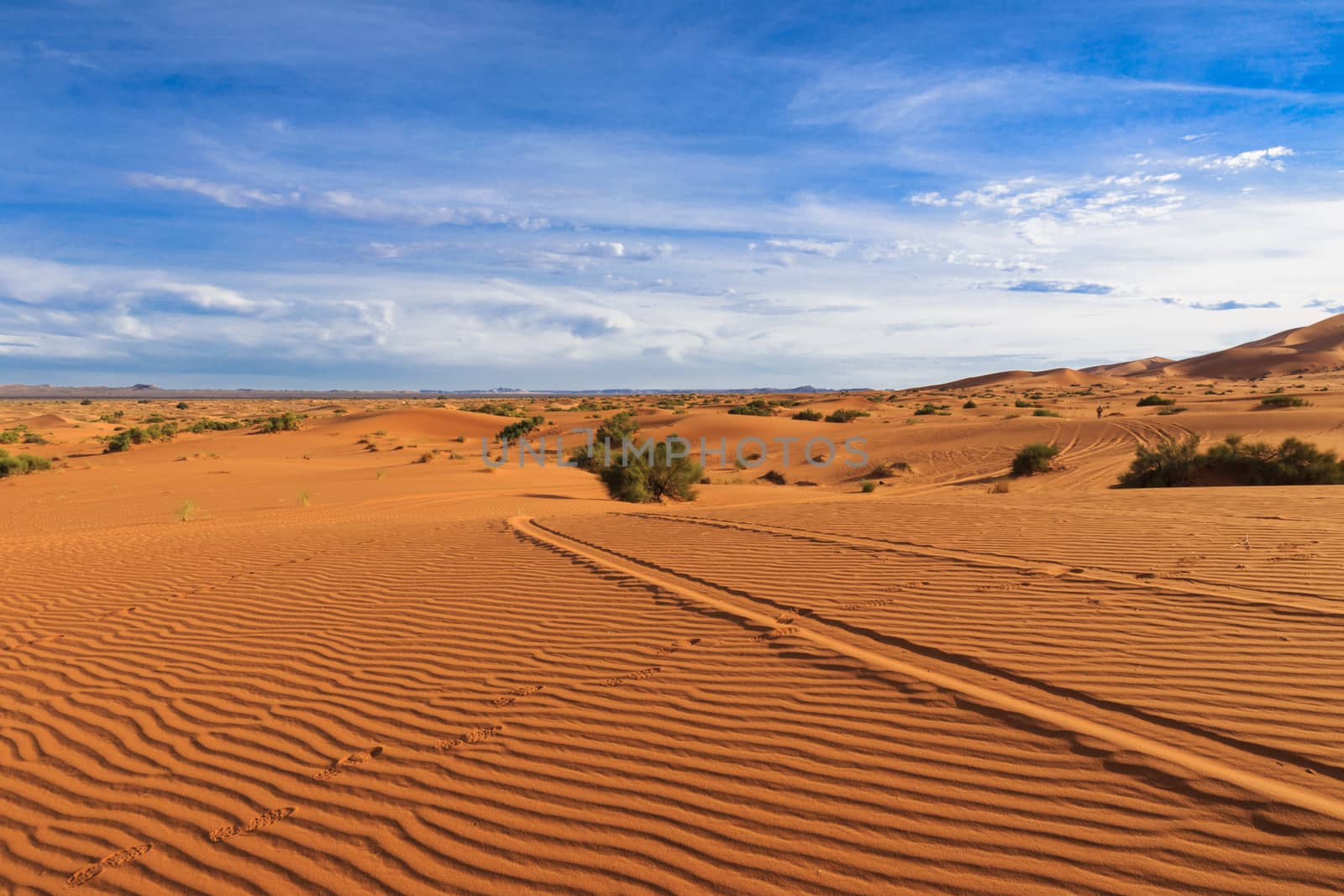 footprints in the sand, Sahara by Mieszko9