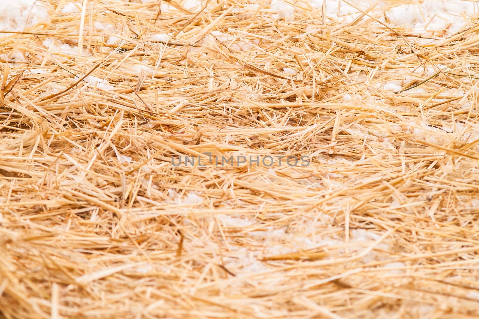 hay, straw with snow lying on the ground