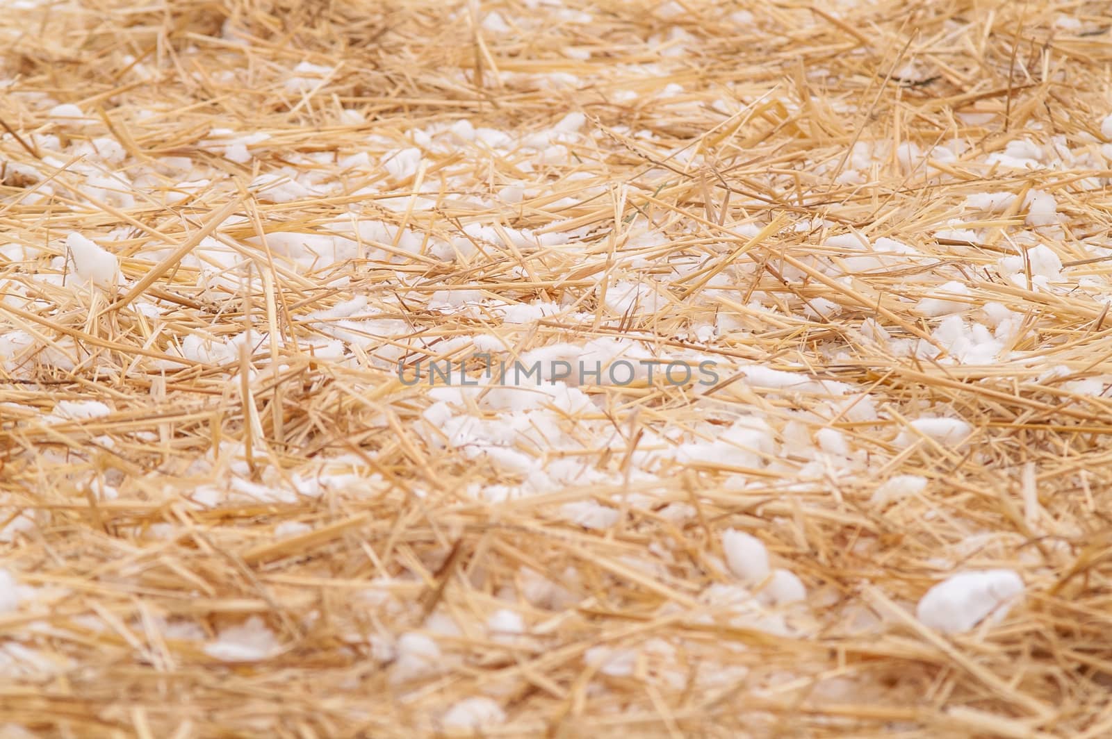 hay, straw with snow lying on the ground