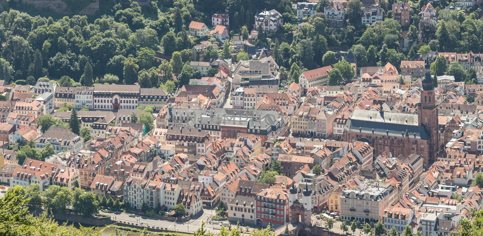 Panoramic View on Heidelberg at summer, Germany