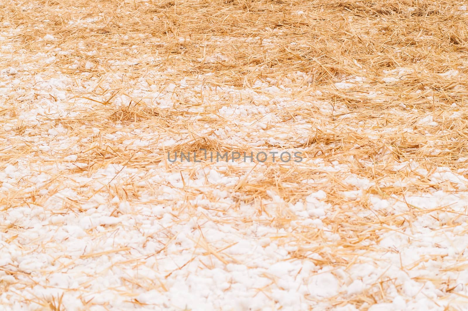 hay, straw with snow lying on the ground