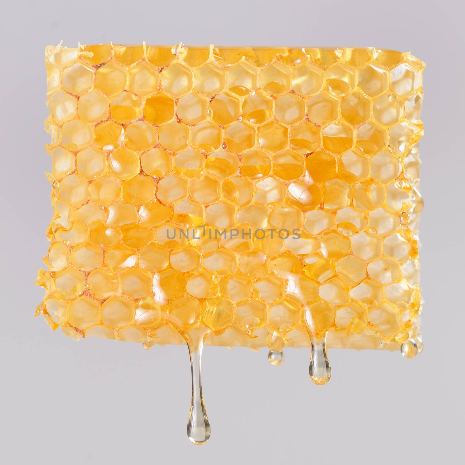 Honey dripping on honeycombs