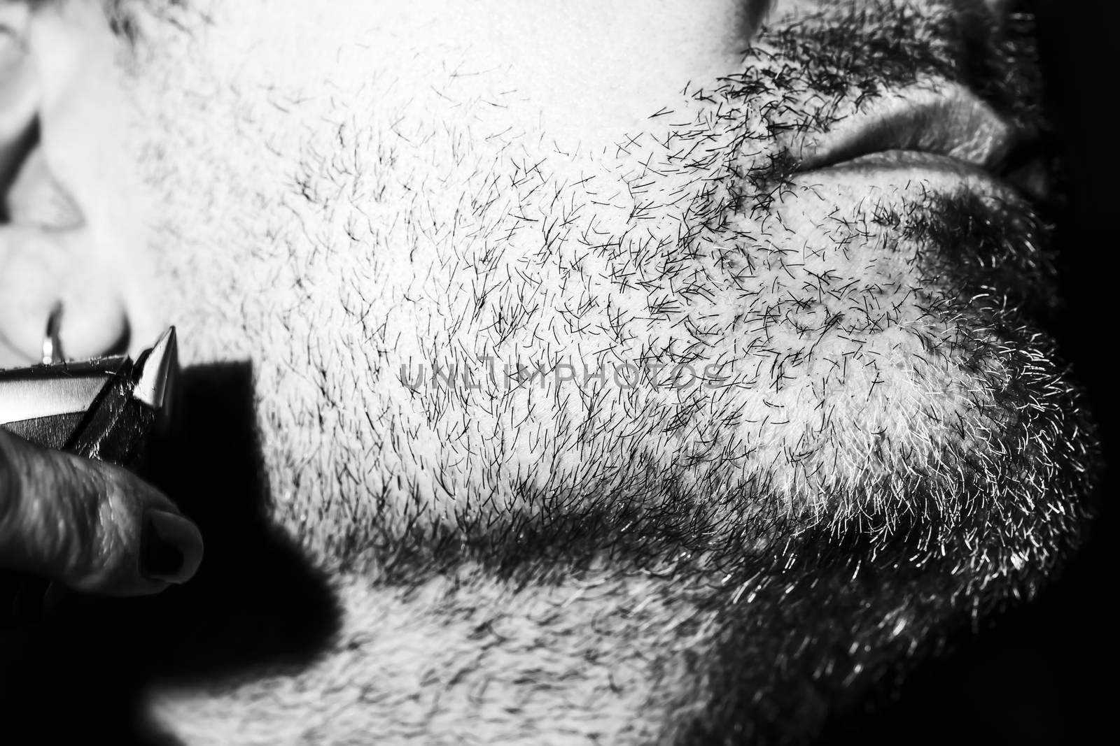 Hairdresser cutting beard, black and white picture by CatherineL-Prod
