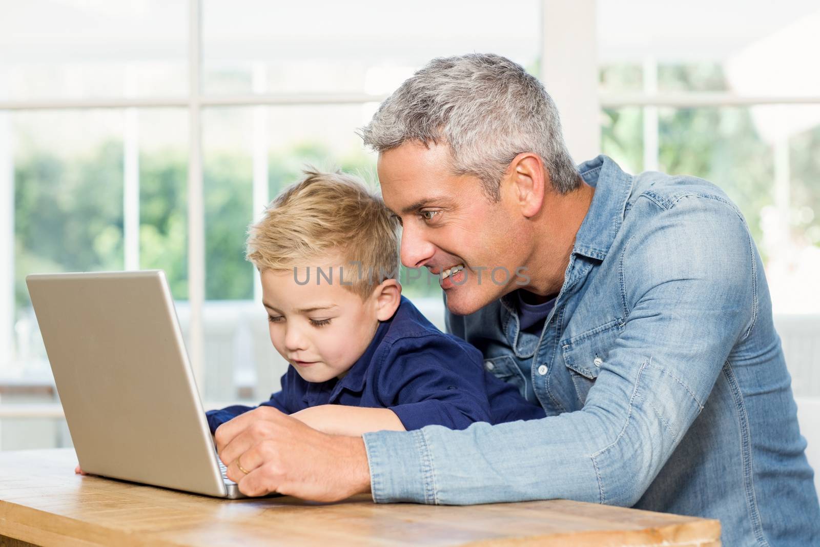 Father and son using laptop at home