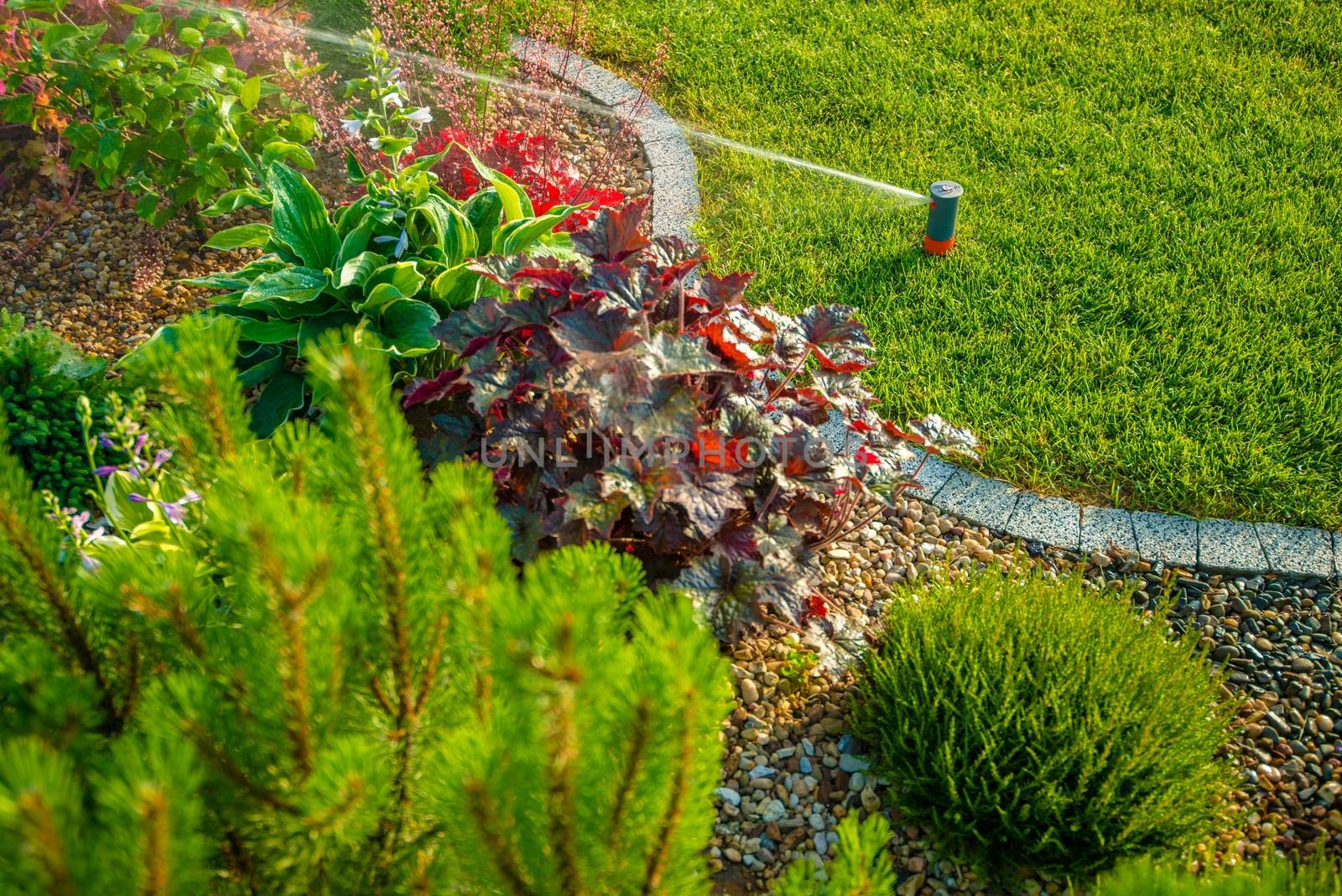 Backyard Lawn Sprinkler by welcomia