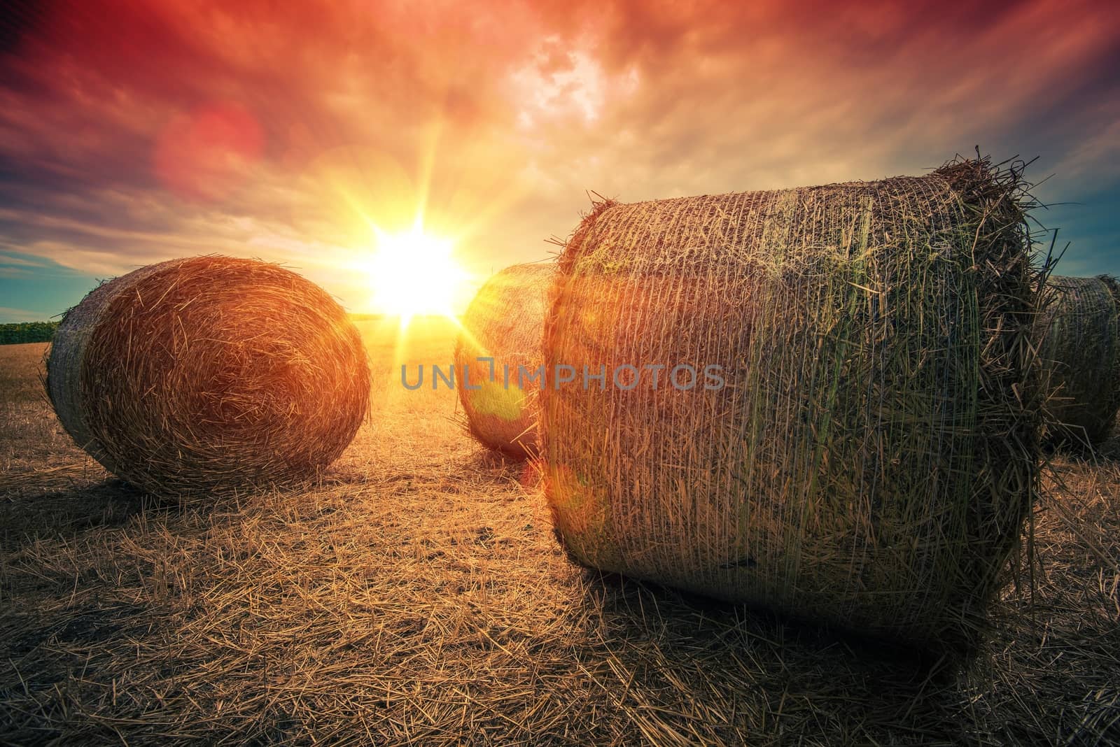 Baled Hay Rolls at Sunset by welcomia