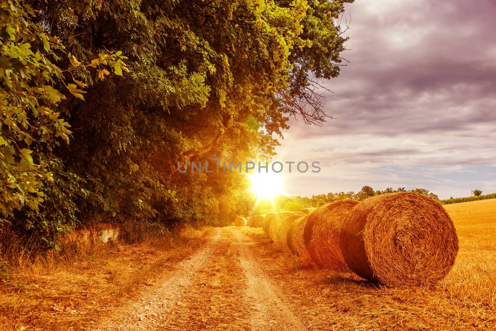 Sunny Countryside Road in July. Austria, Europe Countryside Road with Hay Bales