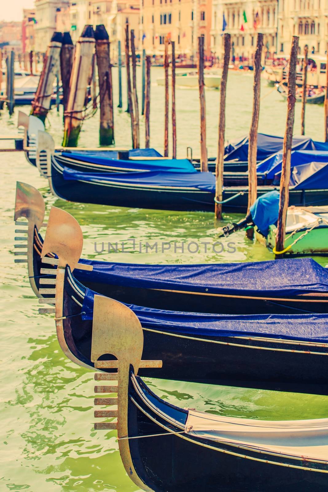 Venice Grand Canal Gondolas by welcomia