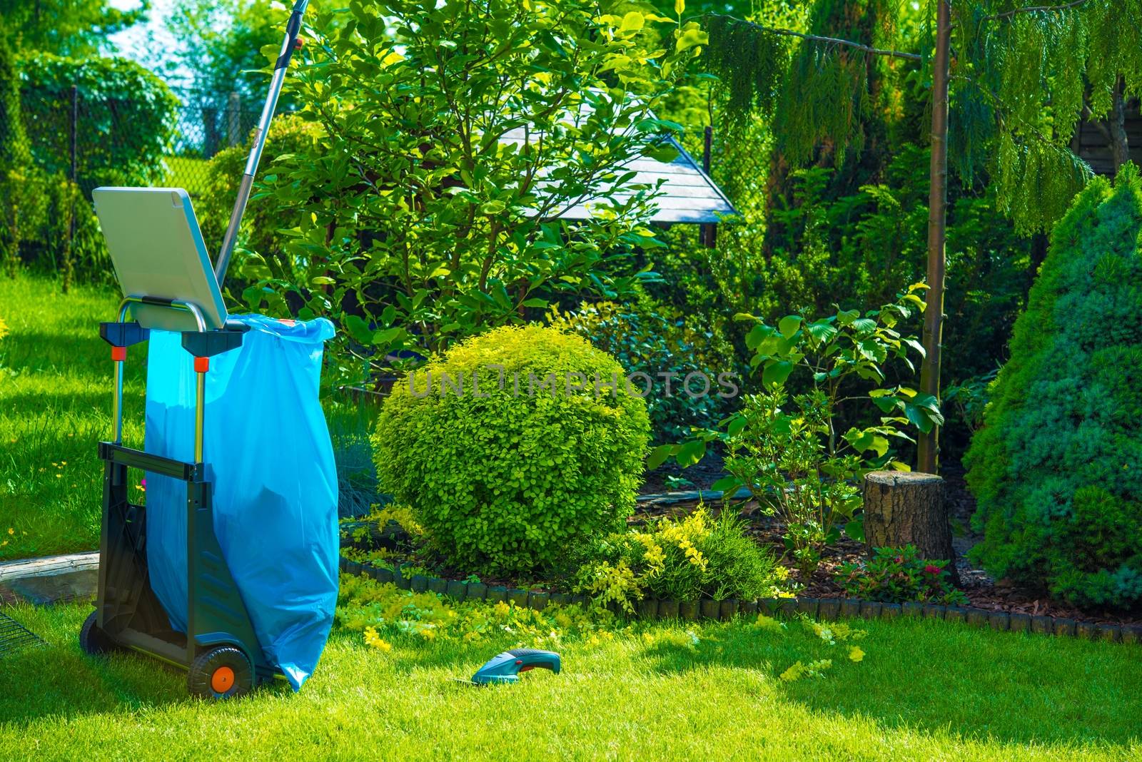 Seasonal Backyard Garden Cleaning. Gardening Theme.