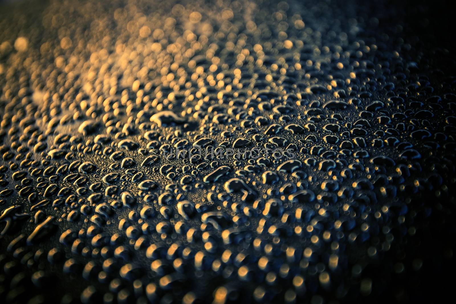 Water Drops on a Car Body After Car Washing. Car Wash Theme.