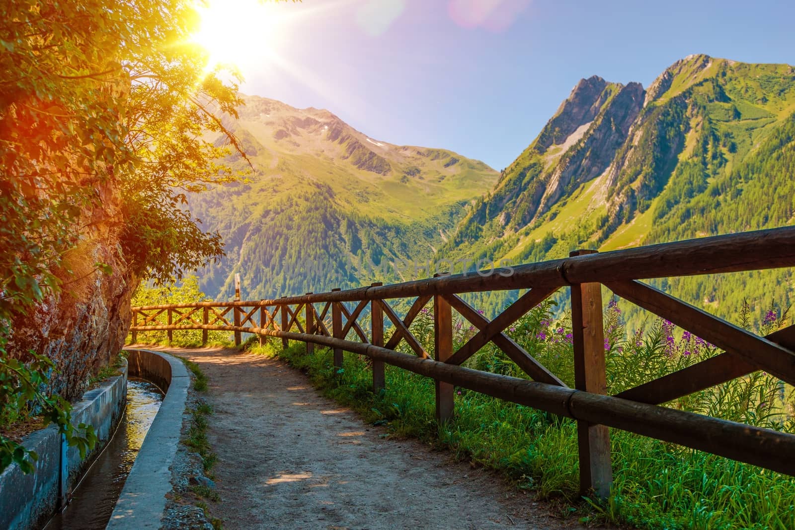 Swiss Alps Sunny Trail by welcomia