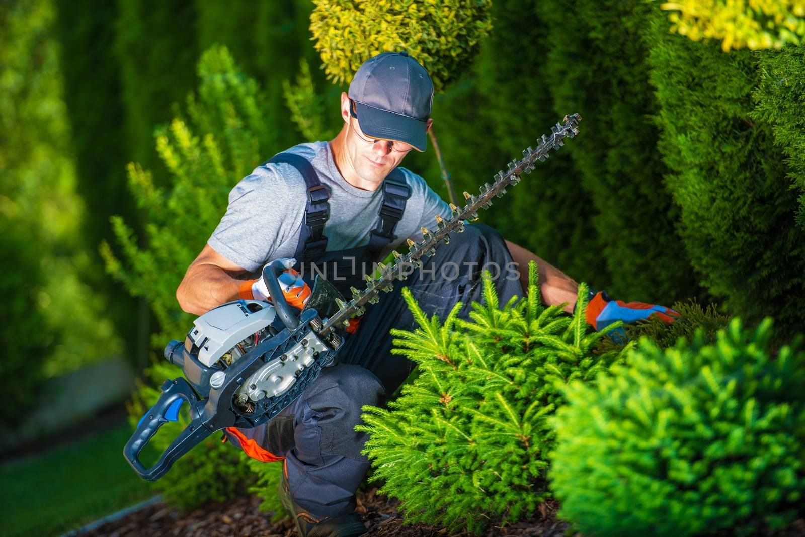 Trimming Work in a Garden by welcomia