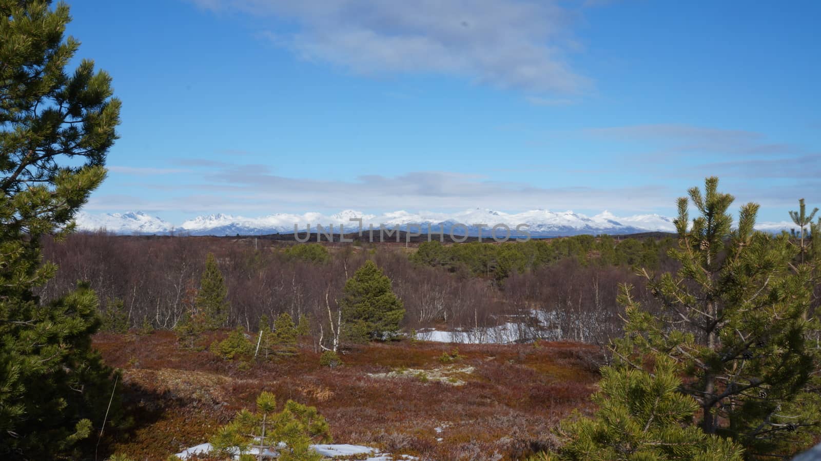 Landscape Nordland