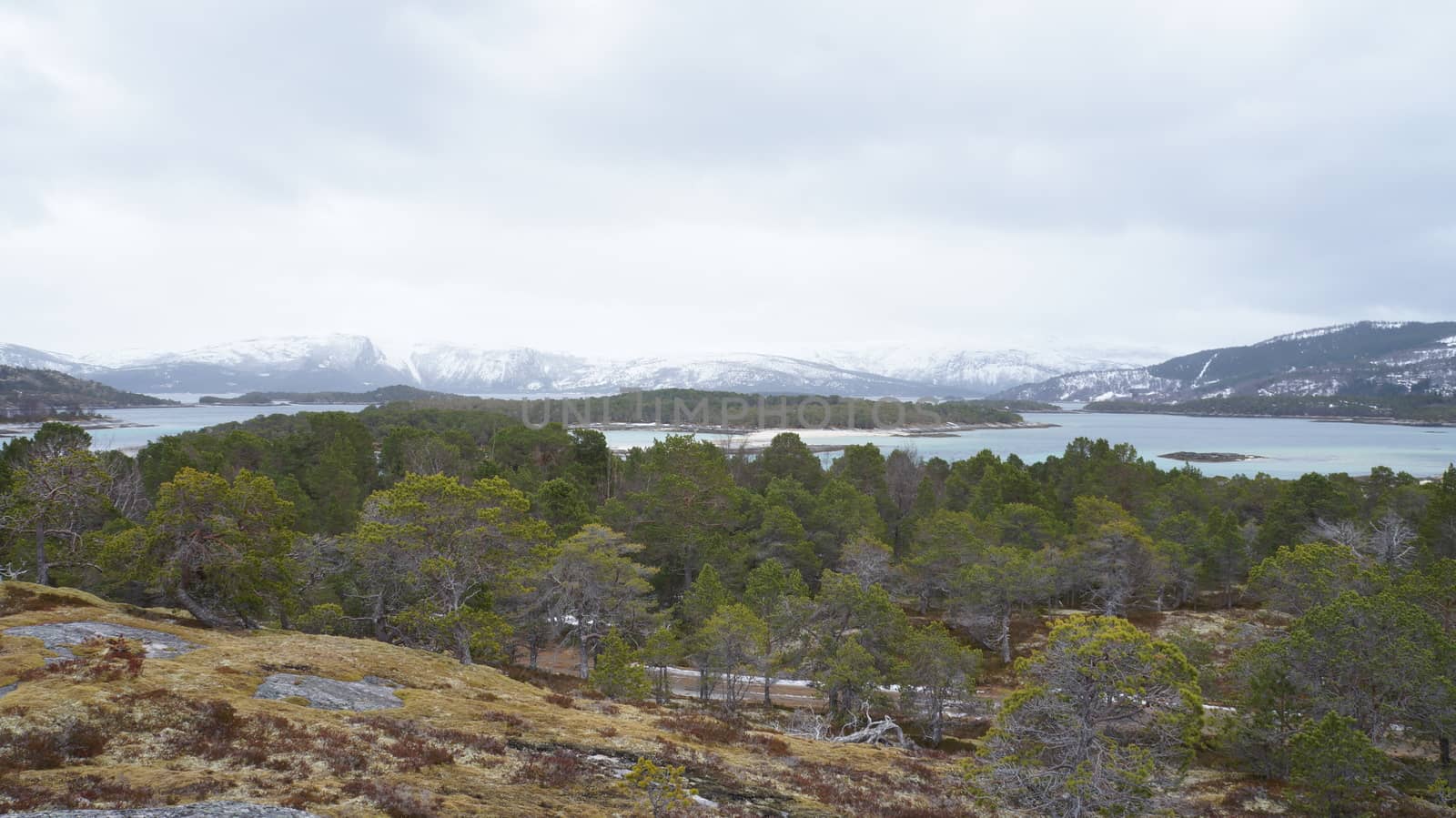 Landscape Nordland