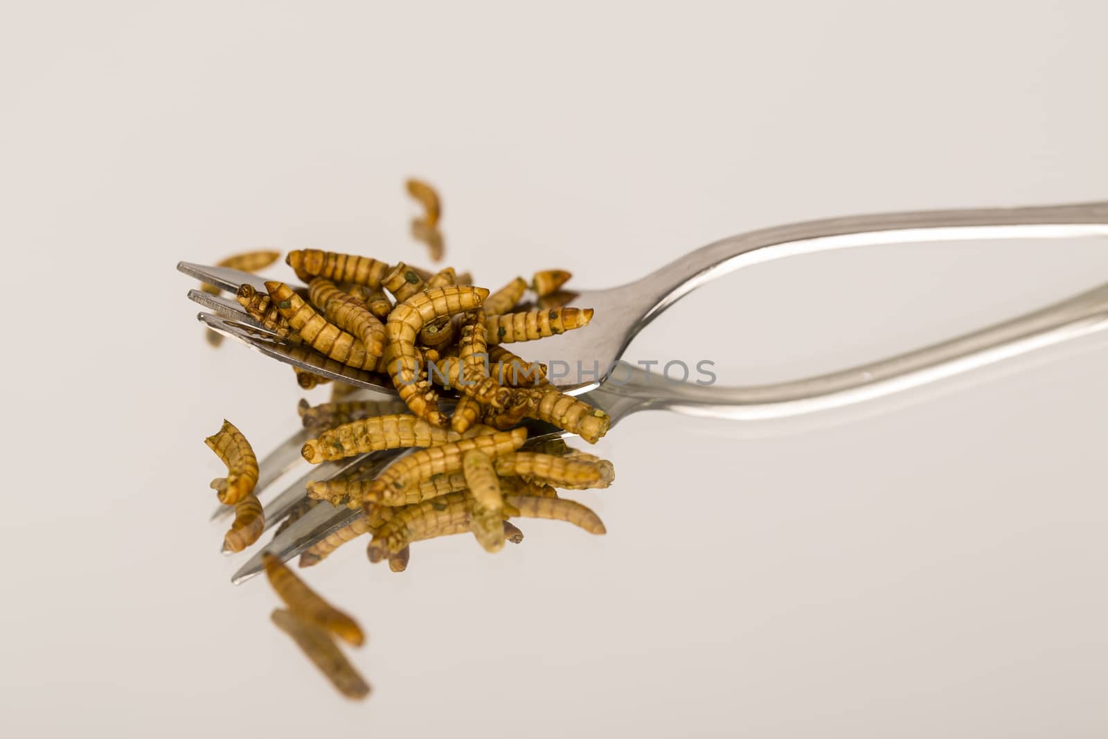 Fried insect, Molitors, Food of the future