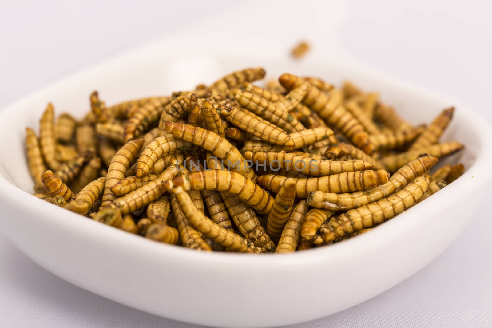 Fried insect, Molitors, Food of the future