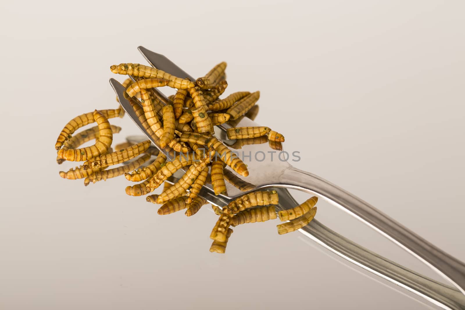 Fried insect, Molitors, Food of the future