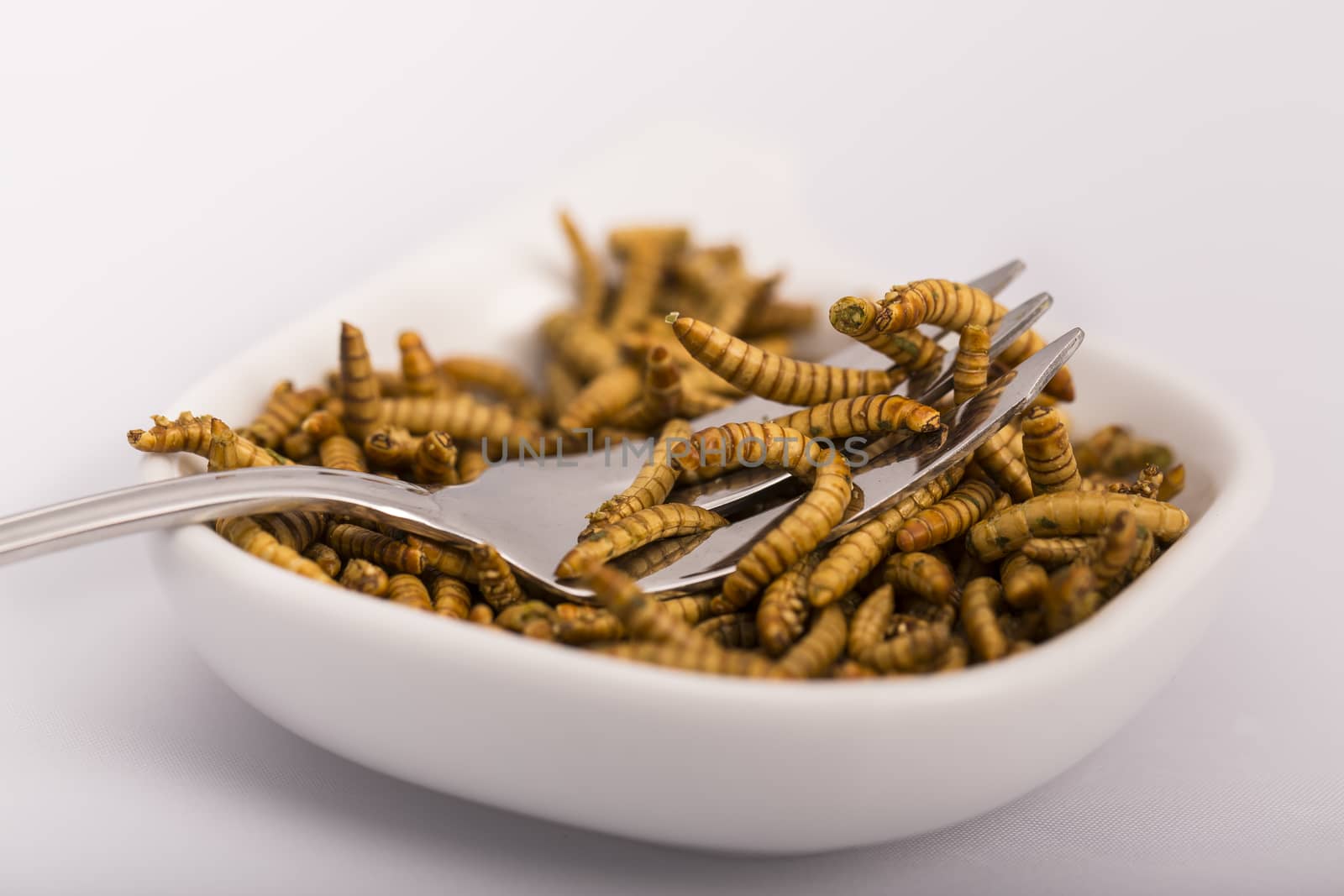 Fried insects, molitors by CatherineL-Prod
