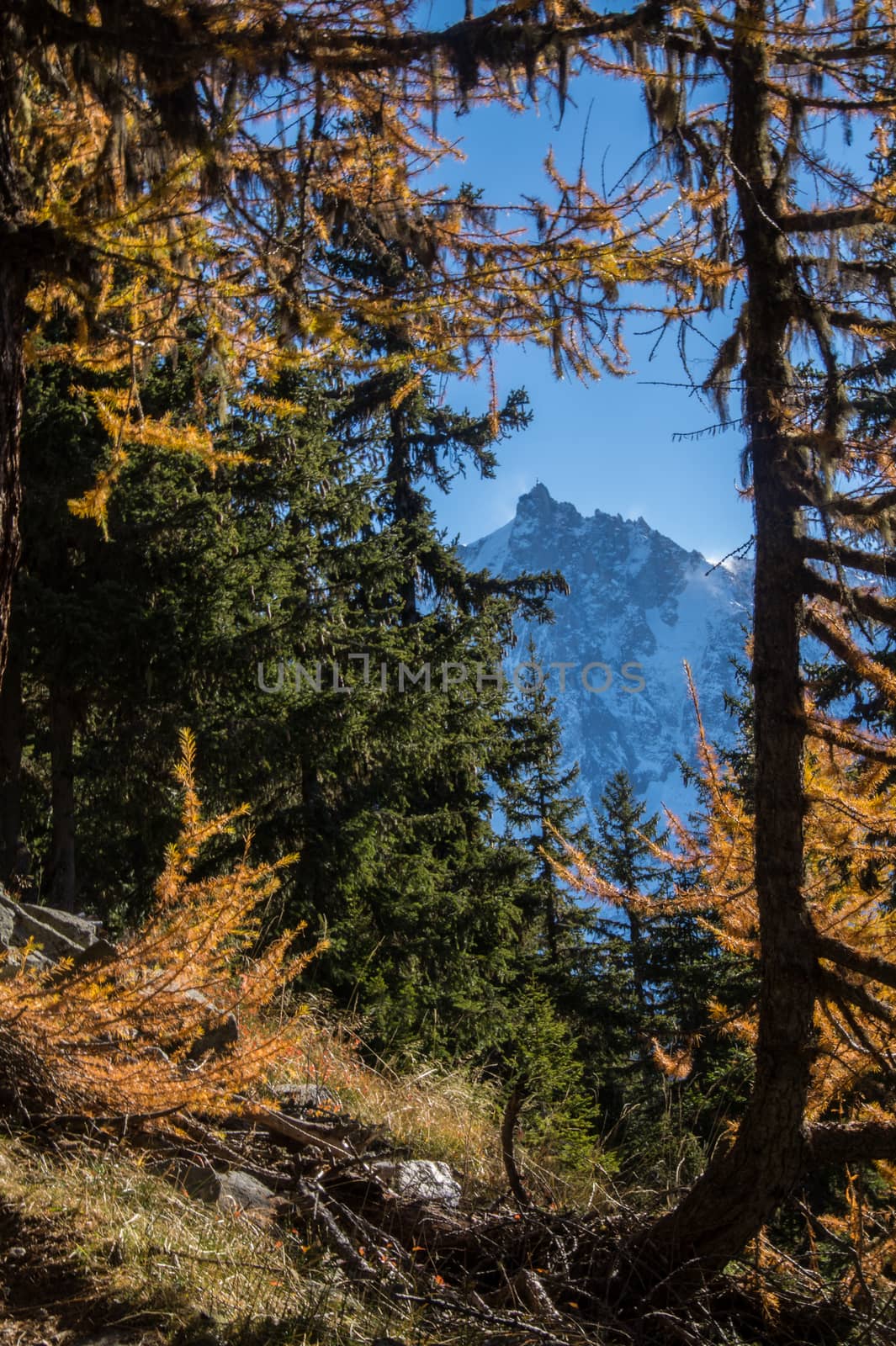 la flatiere,chamonix,haute savoie ,france