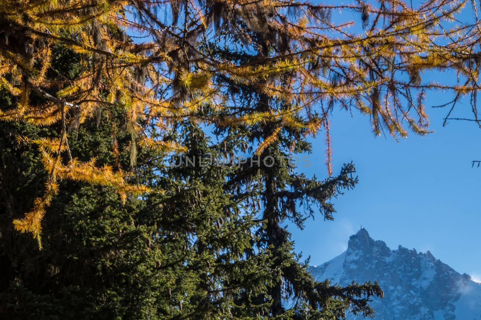 la flatiere,chamonix,haute savoie ,france