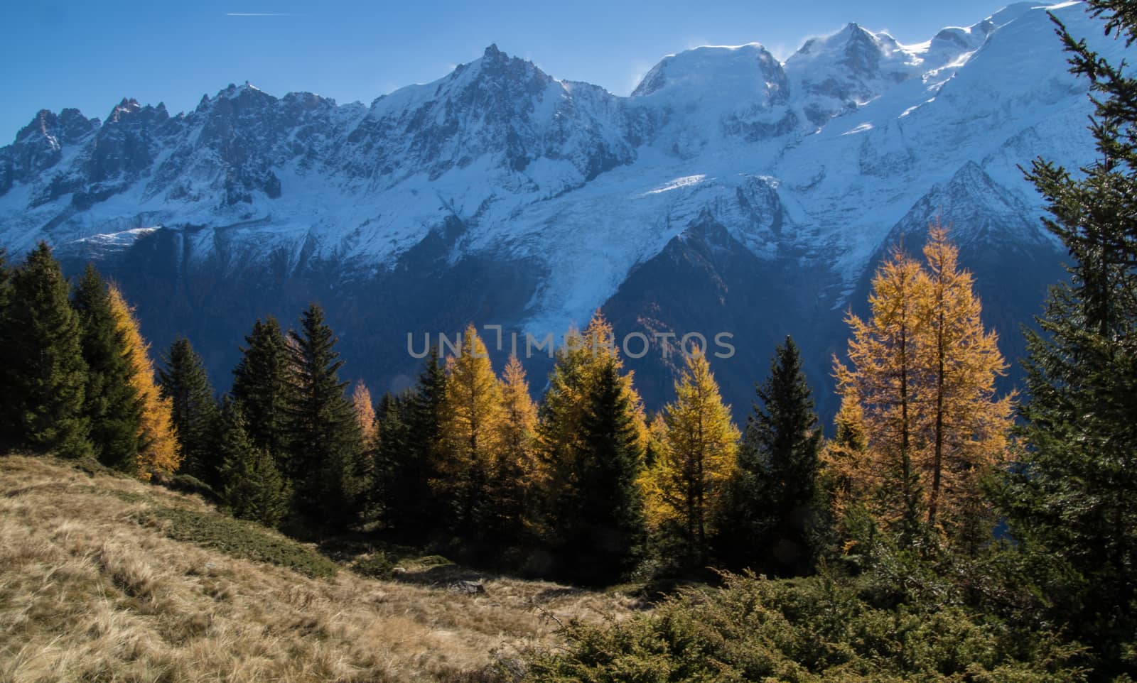 chalets de chailloux,chamonix,haute savoie,france