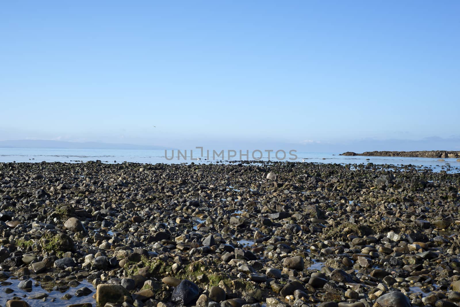 beautiful soft waves break on the black rocks at ballybunion beach in ireland