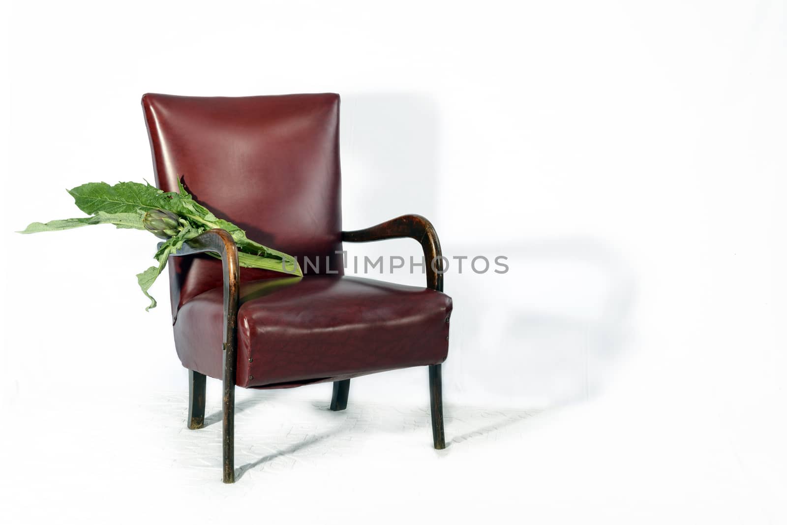 A nice one  artichoke with broad leaves resting on the kitchen chair before being cooked.