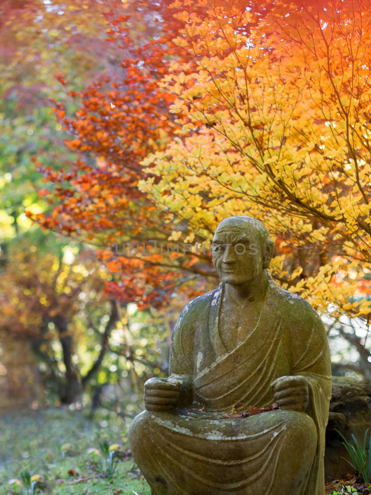 buddhist garden in autumn by zkruger