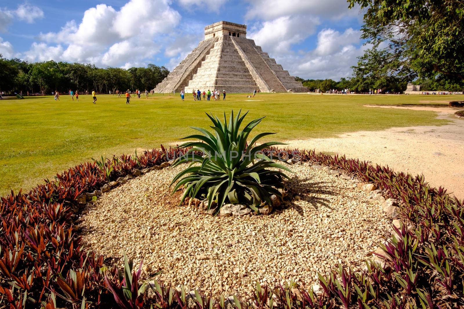 Landscape view of famous Chichen Itza pyramid with cactus in foreground, Mexico