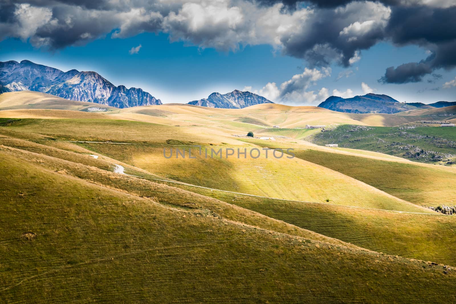 View of meadows in the mountains that create sinuous lines.