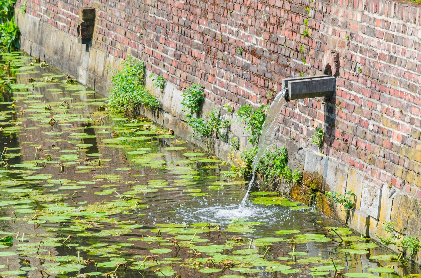 Moat, castle moat with rainwater inlet to an old castle.