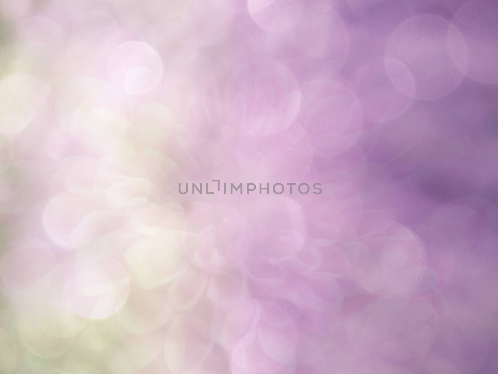 image of bright colorful bokeh overlap with flower image background