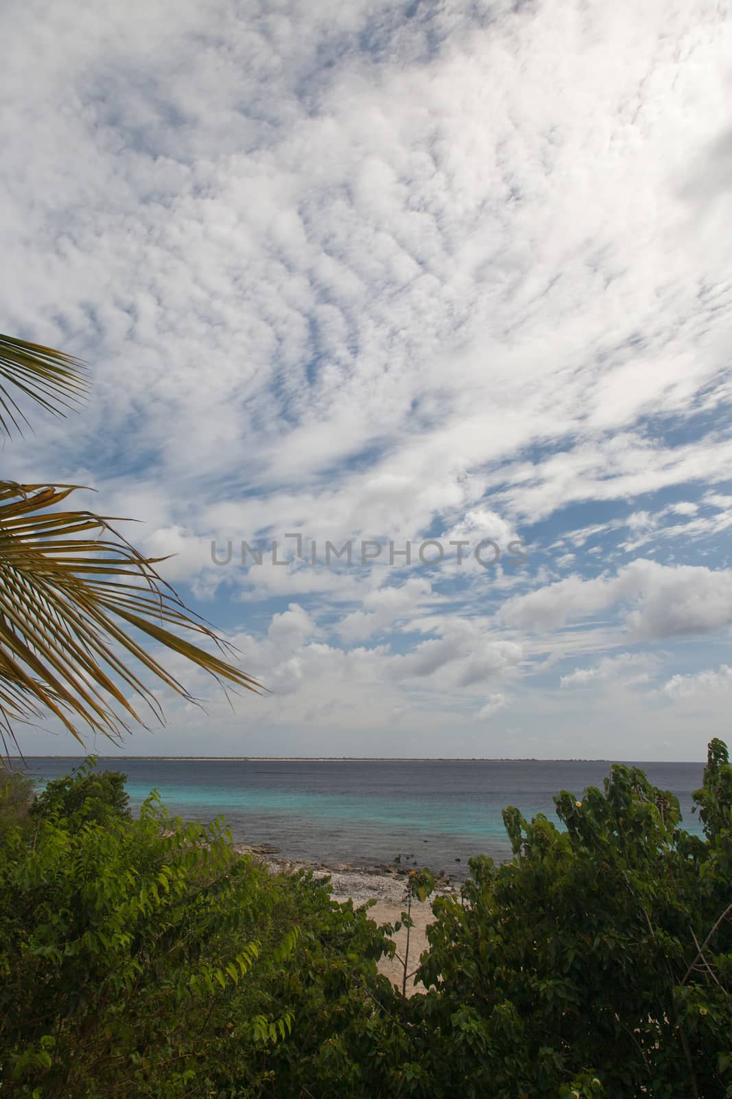 caribbean beach Bonaire island by desant7474