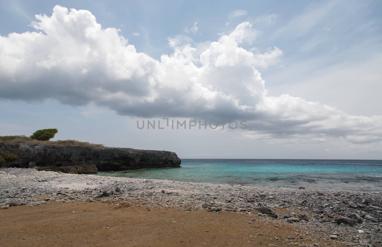 caribbean beach Bonaire island