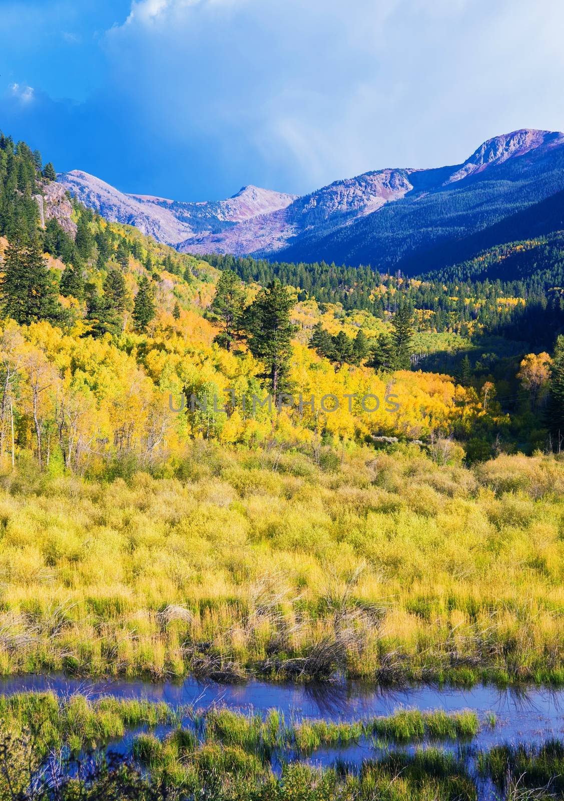 Aspen Colorado Landscape in Vertical Photography. Fall in Aspen, Colorado, United States.