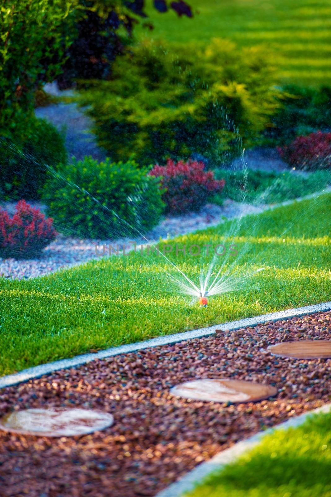 Backyard Garden Watering by welcomia