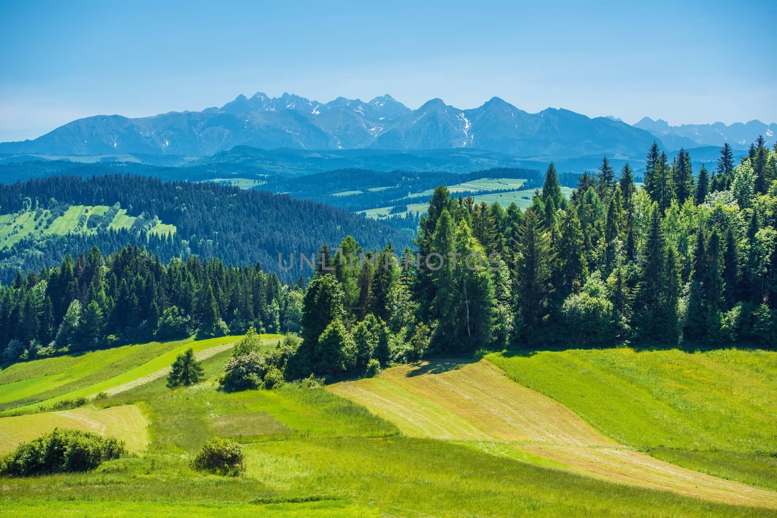 Scenic Tatra Mountains Panorama Taken In Czorsztyn. Summer Landscape in Lesser Poland, Europe. Clear Blue Sky.